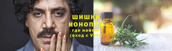 винт Инсар