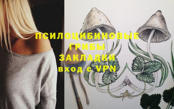 винт Инсар