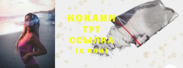 первитин Инта