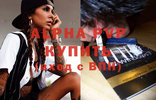 винт Инсар