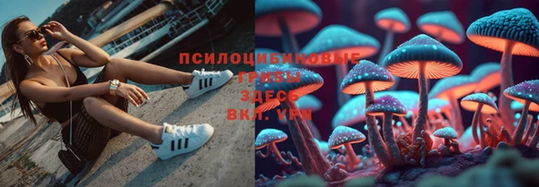 первитин Инта