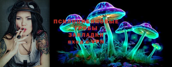 винт Инсар