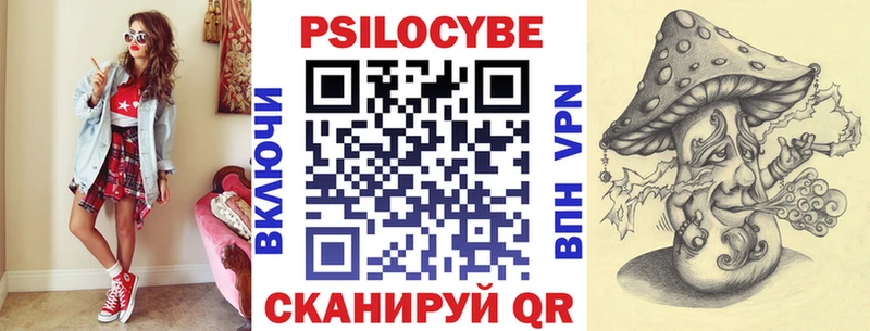 Купить закладки  Далматово  Галлюциногенные грибы прущие грибы 