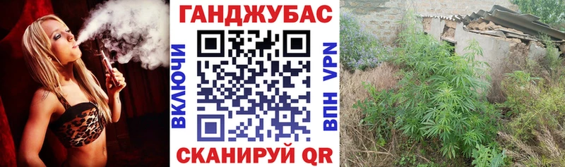 Бошки Шишки планчик  Купить закладки  Далматово 
